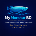 file 00000000e71071fab2f97886ff95a8a1